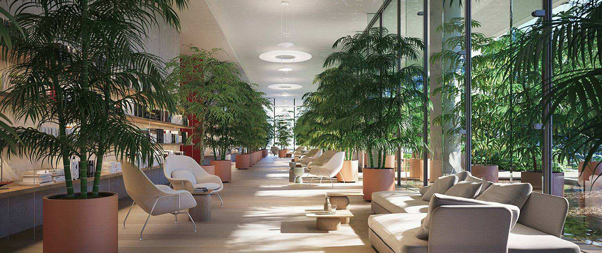 建邺区足疗养生会所，SPA花样齐全，网友力荐好去处